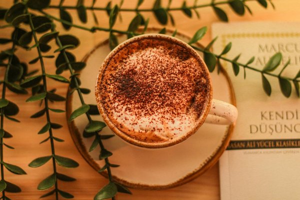 Découvrez les baskets léopard montantes pour un style audacieux